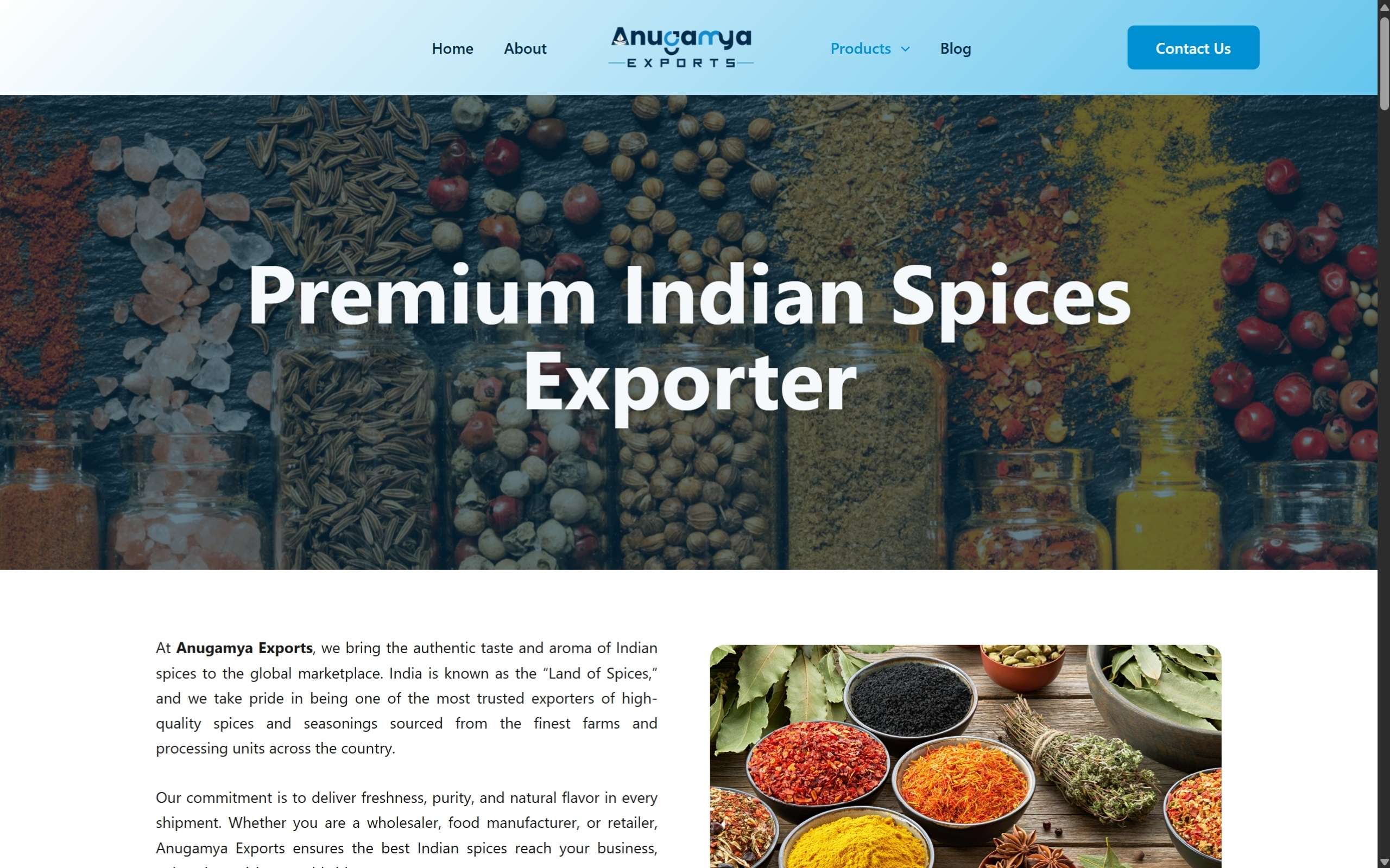 Anugamya Website Screenshots - Darshan Limbani